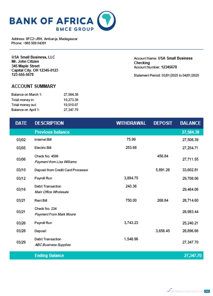 Bank of Africa organization checking account statement Word and PDF template (1)